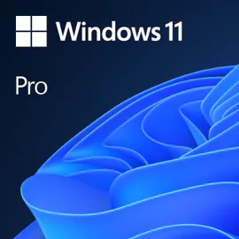Microsoft HAV-00163 Windows 11 Pro Full packaged product (FPP) 64-bit English USB