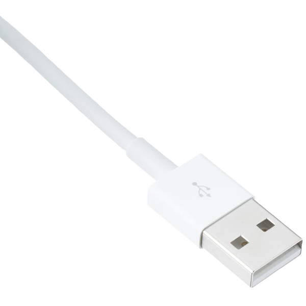 Apple Lightning cable - Lightning / USB - 2 m